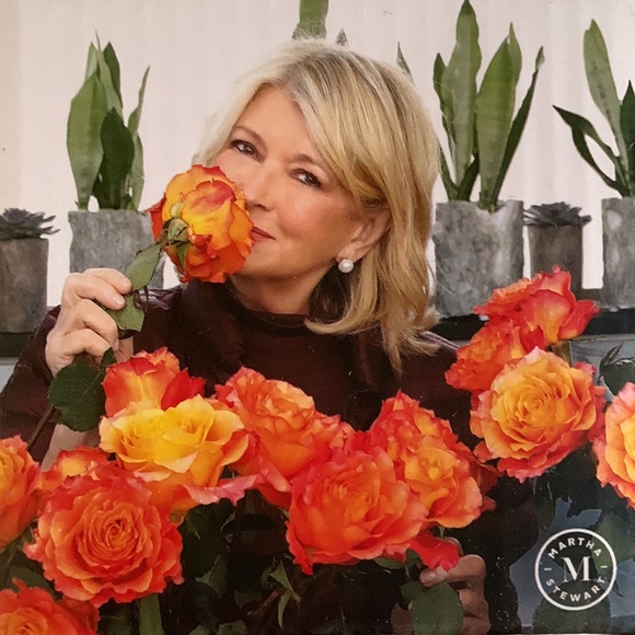 Martha Stewart 4 Pc Ceramic Tidbit Set Leaf Shaped Leaves - Picture 2 of 3